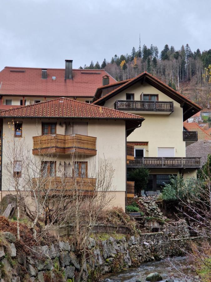 Hostel Zum Loewen Todtmoos Kültér fotó